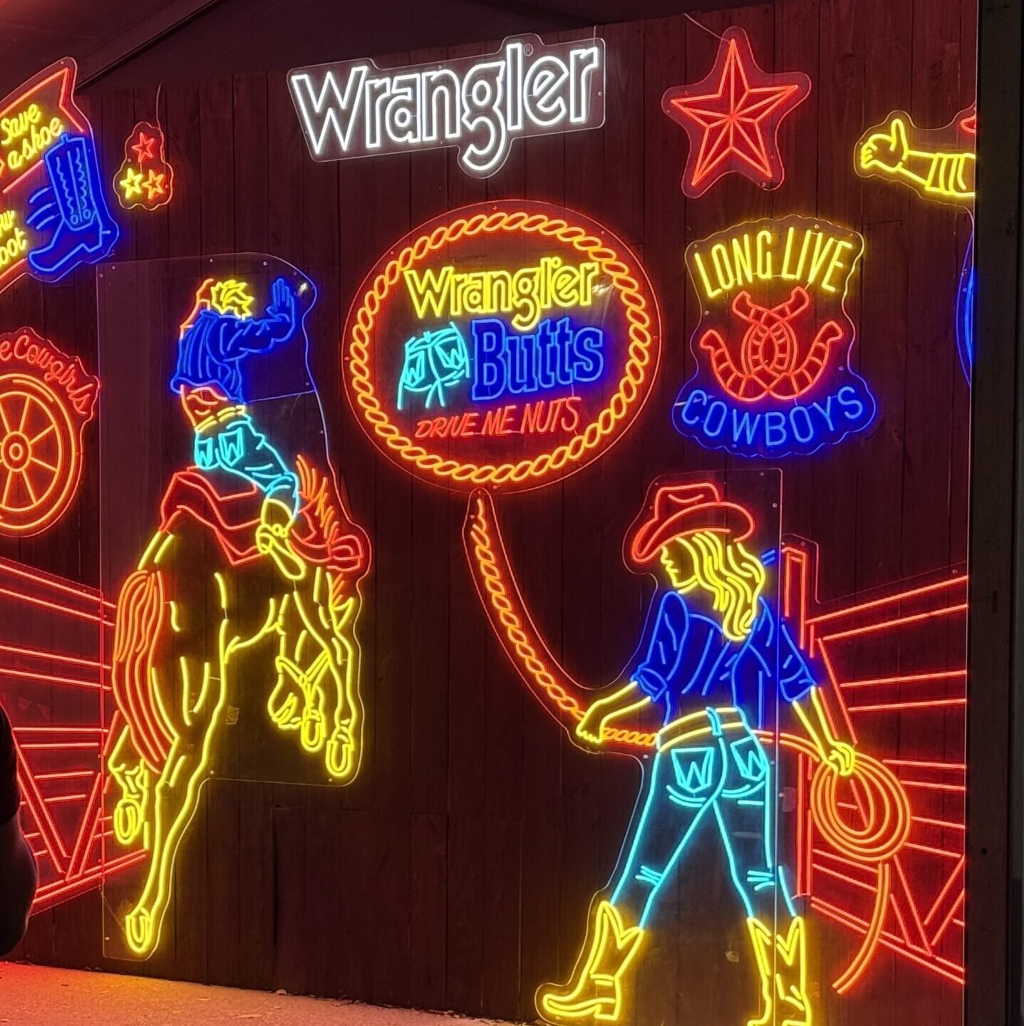 HOUSTON-RODEO-NONPROFIT